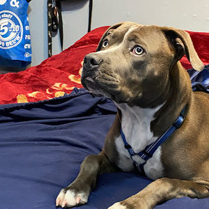 Meet your Posher, Jose